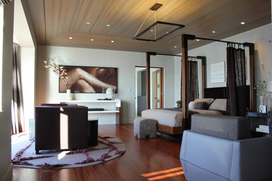 Bedroom - contemporary bedroom idea in San Francisco