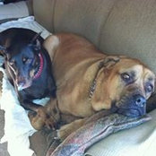 Lauren Fuchs's photo
