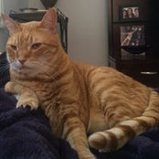 Marcia Berns's photo
