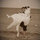 debra_macdonald