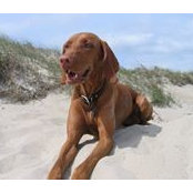 Mimi Brunner's photo