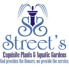 Street's Exquisite Plants & Aquatic Gardens Inc