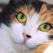 Anny Olwin's photo