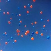 Ashley Neese's photo