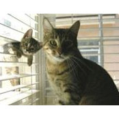 Tracey Williams's photo