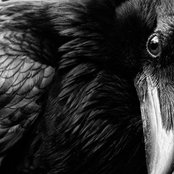 Raven White's photo