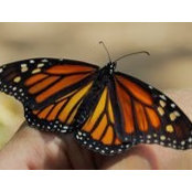 Jeanne Ryan's photo