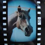Foto von Paul Bertin