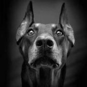 Michael Knight's photo