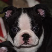 Loretta Dolan's photo