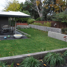 Lowered Backyard