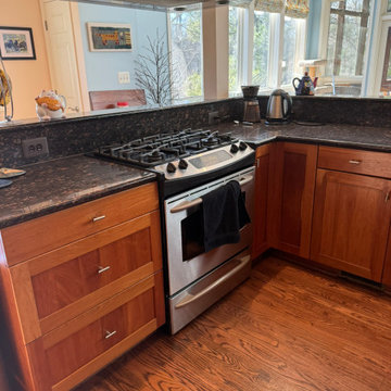 Freda Drive Transitional Main Level Renovation