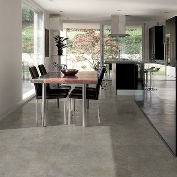 Evolution Grey