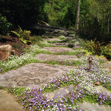 Landscape Keowee Key