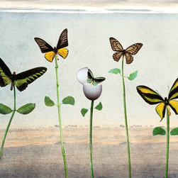 Emily Cooper Artwork - Products