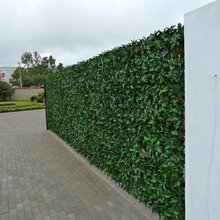fence