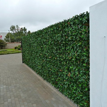 Ranka Lasting Greenery