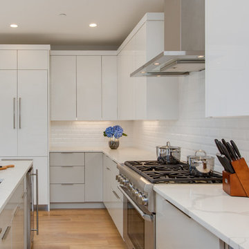 White Contemporary Kitchen