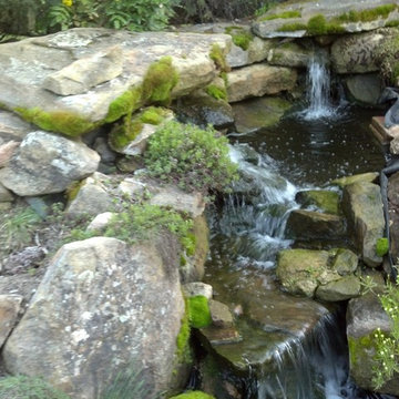 Water features