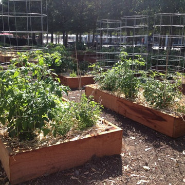 ebay, inc. Corporate Vegetable Garden Installation & Employee Garden Education