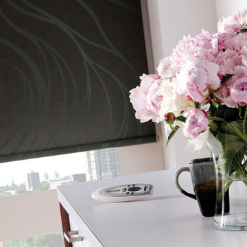 Screen & Roller Shades