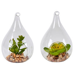 Contemporary Terrariums by WORTH IMPORTS