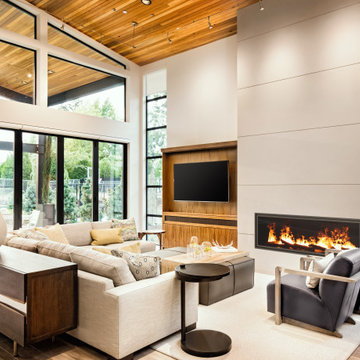 VITA Fireplaces 52" Single-Sided | Built-In Linear Vapor-Fire Feature