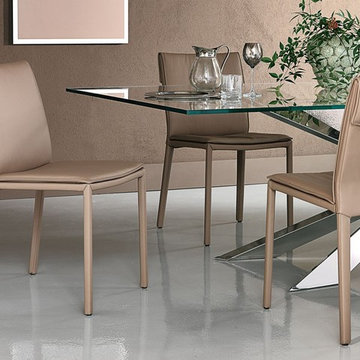 Modern Dining Chairs