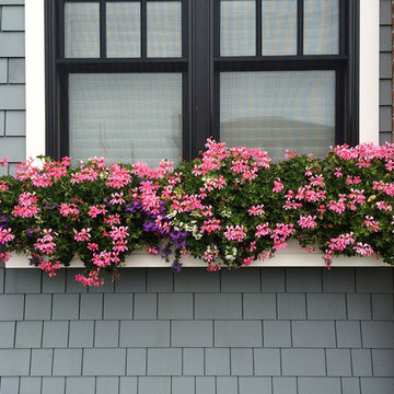 Flower Boxes/Pots/Windows