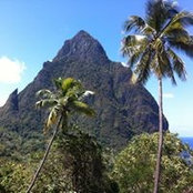 Foto von Katherine Jones