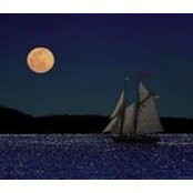 Susan Mastro's photo