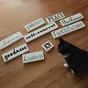 Robin Faith's photo