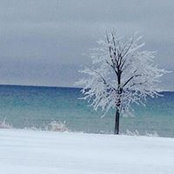 Deb Scott's photo