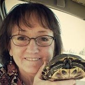 Photo de Carol McCall