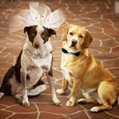 Michelle Becroft's photo