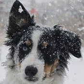 Toni Jacobs's photo