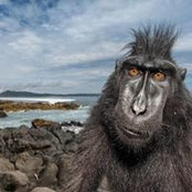 Dave Lachance's photo