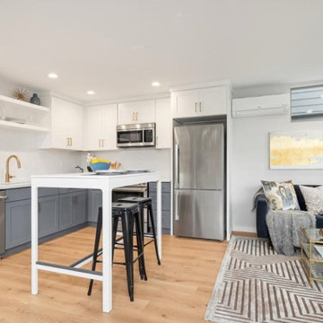 Ballard Townhome, Seattle