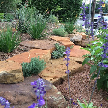 Various Xeriscapes by Ten Rhinamic