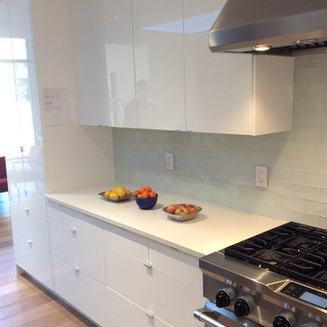 Modern IKEA Kitchen in Colorado Craftsman Home