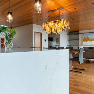 KIRKLAND KITCHEN DESIGN & PEDINI CABINETRY