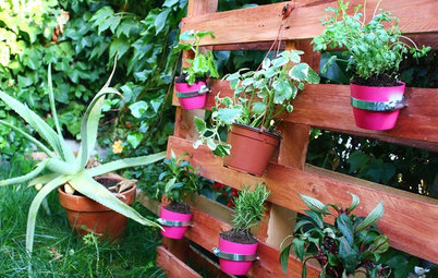 Hazlo tú mismo: Un jardín vertical construido con un palé