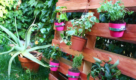 Hazlo tú mismo: Un jardín vertical construido con un palé