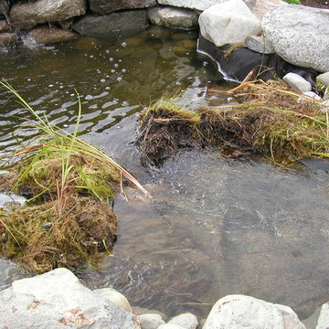 Pond Waterfall and Wall Waterfall Natural Filter