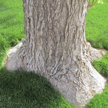 Artificial Landscapes