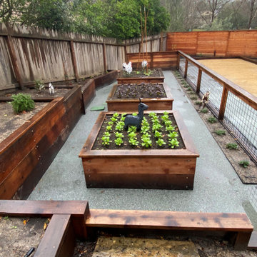 Vegetable Garden