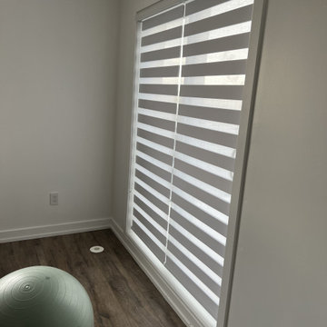 Zebra blinds White light filtering