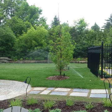 Custom Home with Expansive Backyard Oasis
