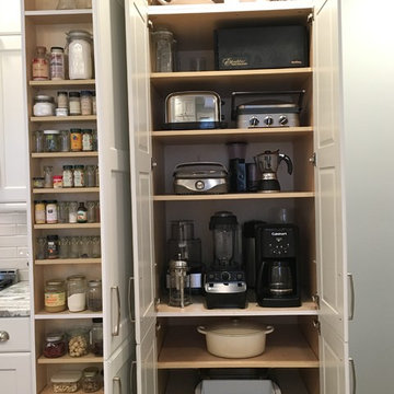 100 Year Old Chicago Farm House remodel