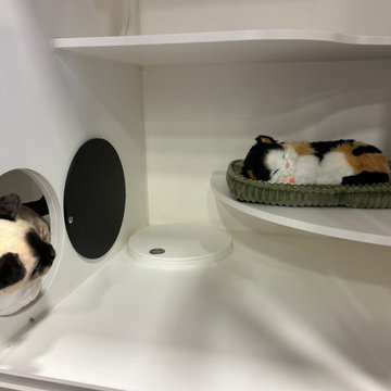 Cat Condos